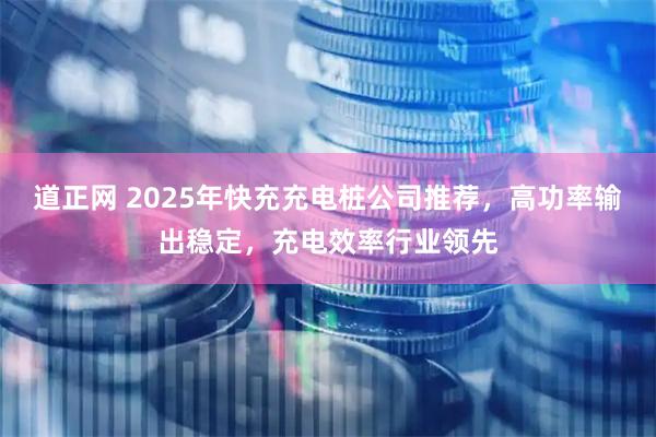 道正网 2025年快充充电桩公司推荐,高功率输出稳定,充电效率行业领先