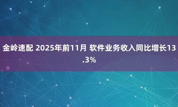 金岭速配 2025年前11月 软件业务收入同比增长13.3%